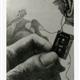 http://art.5d.cn/Arts/409/128/33056.gif