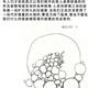 http://art.5d.cn/Arts/409/128/34803.gif