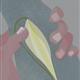 http://art.5d.cn/Arts/409/128/42638.gif