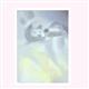 http://art.5d.cn/Arts/409/128/57809.gif