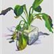 http://art.5d.cn/Arts/48609/5870/48152.gif