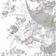 http://art.5d.cn/Arts/52097/6123/50129.gif