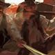 http://art.5d.cn/Arts/60434/5260/41244.gif