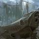 http://art.5d.cn/Arts/60434/5260/41686.gif
