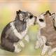 http://art.5d.cn/Arts/75501/5222/41645.gif
