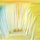 http://art.5d.cn/Arts/75501/5222/44049.gif