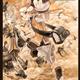 http://art.5d.cn/Arts/9084/2887/44298.gif