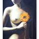 http://art.5d.cn/Arts/9516/3928/27853.gif
