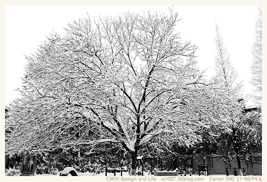 暴雪·水佐岗-13