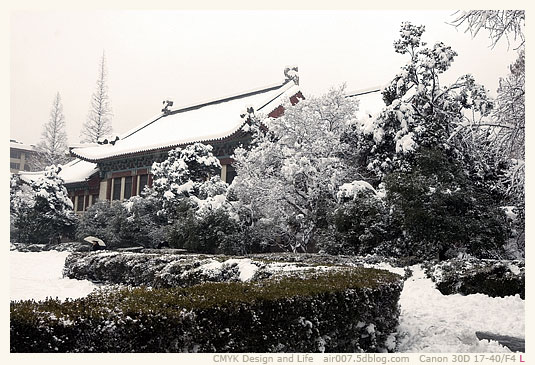 暴雪·南师随园-2