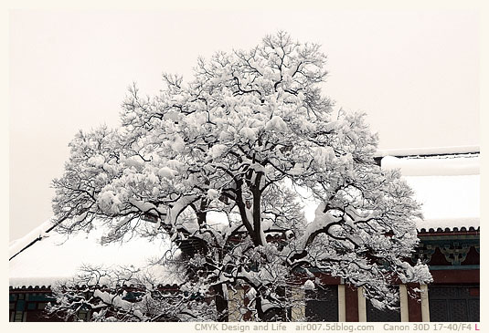 暴雪·南师随园-11