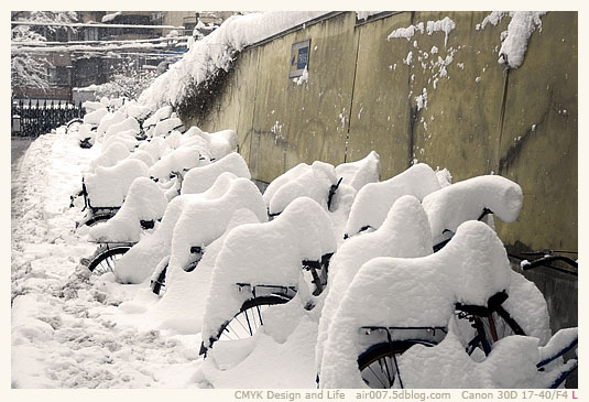 暴雪·南师随园-17