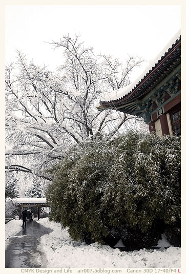 暴雪·南师随园-3