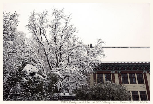 暴雪·南师随园-4