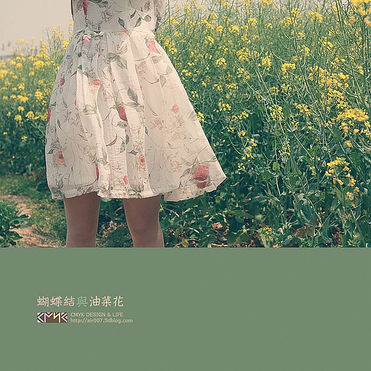 蝴蝶结与油菜花-3