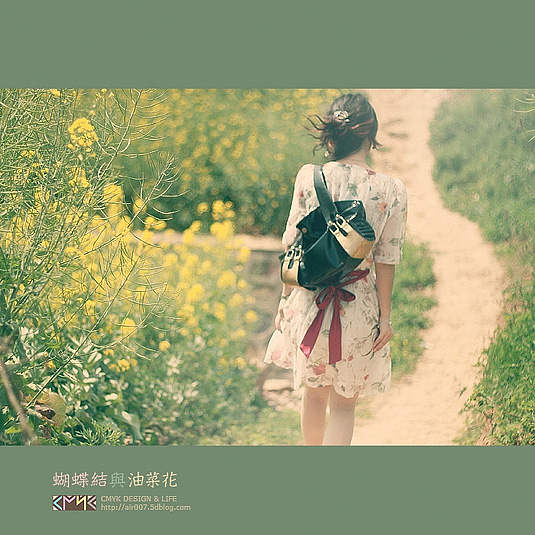 蝴蝶结与油菜花-32