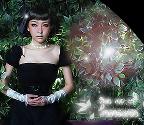 http://art.5d.cn/Thumbnails/2009-04/88M48KYO4A.gif