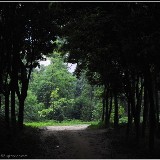 http://art.5d.cn/Thumbnails/2009-09/NB1MHGU0RZ.gif