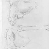 http://art.5d.cn/Thumbnails/2009-11/C37MFJGESG.gif