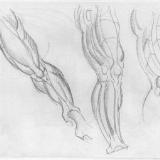http://art.5d.cn/Thumbnails/2009-12/7A4NBEFYLS.gif