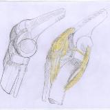 http://art.5d.cn/Thumbnails/2009-12/Q86BABBTE0.gif