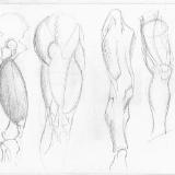 http://art.5d.cn/Thumbnails/2009-12/SGIH9FNM0C.gif