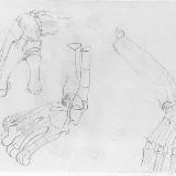 http://art.5d.cn/Thumbnails/2009-12/WFJL28PQ1W.gif