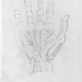http://art.5d.cn/Thumbnails/2009-12/WVOHTYPQER.gif