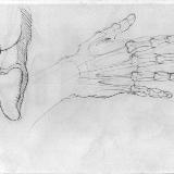 http://art.5d.cn/Thumbnails/2009-12/YJKDC2RE3E.gif