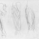 http://art.5d.cn/Thumbnails/2009-12/YYC5N069DJ.gif