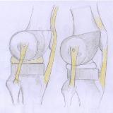 http://art.5d.cn/Thumbnails/2009-12/Z72Y17WIIC.gif