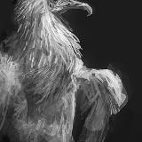 http://art.5d.cn/Thumbnails/2010-01/YHVLVM2JDP.gif
