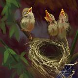 http://art.5d.cn/Thumbnails/2010-03/0FXD55AHL9.gif