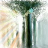 http://art.5d.cn/Thumbnails/2010-03/6LE2WMPIBK.gif
