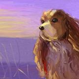 http://art.5d.cn/Thumbnails/2010-03/I8UM7N8Y2T.gif