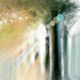 http://art.5d.cn/Thumbnails/2010-03/OQPL9ZGJQ0.gif
