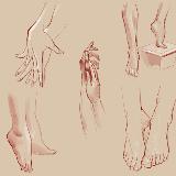 http://art.5d.cn/Thumbnails/2010-03/SY56IDGH1R.gif