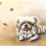 http://art.5d.cn/Thumbnails/2010-04/DZG4HYSOCX.gif