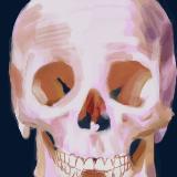 http://art.5d.cn/Thumbnails/2010-05/SQNGPUHOO2.gif