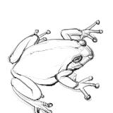 http://art.5d.cn/Thumbnails/2010-06/33S1FPB0TB.gif