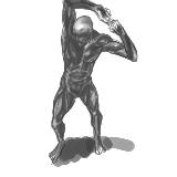 http://art.5d.cn/Thumbnails/2010-06/CKPFS43P80.gif