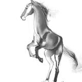 http://art.5d.cn/Thumbnails/2010-06/J0HG2FP2OC.gif