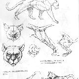 http://art.5d.cn/Thumbnails/2010-07/4HAMBLZ4WR.gif