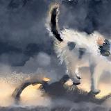 http://art.5d.cn/Thumbnails/2010-07/VALU3ON95P.gif