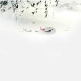 http://art.5d.cn/Thumbnails/2010-07/WB13FOERHT.gif