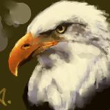 http://art.5d.cn/Thumbnails/2010-08/975BUPFJ1N.gif