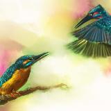 http://art.5d.cn/Thumbnails/2010-08/WT3ERO6HUO.gif