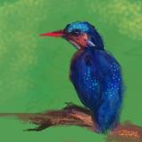 http://art.5d.cn/Thumbnails/2010-10/HEH6QVB60D.gif