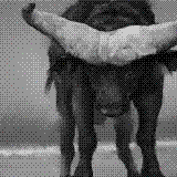 http://art.5d.cn/Thumbnails/2010-11/4RARG2FGXC.gif