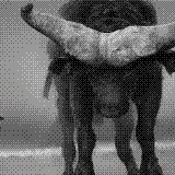 http://art.5d.cn/Thumbnails/2010-11/BCRR13IRMH.gif